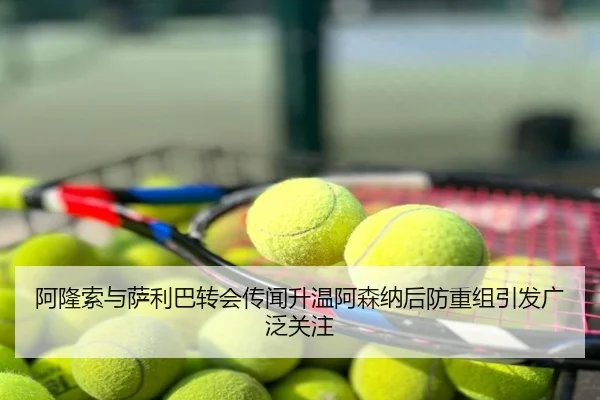 阿隆索与萨利巴转会传闻升温阿森纳后防重组引发广泛关注