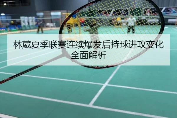林葳夏季联赛连续爆发后持球进攻变化全面解析